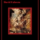 El juego de caer - David Cabrera